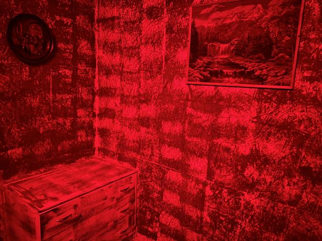 Квест «Джиперс Криперс» в Воронеже